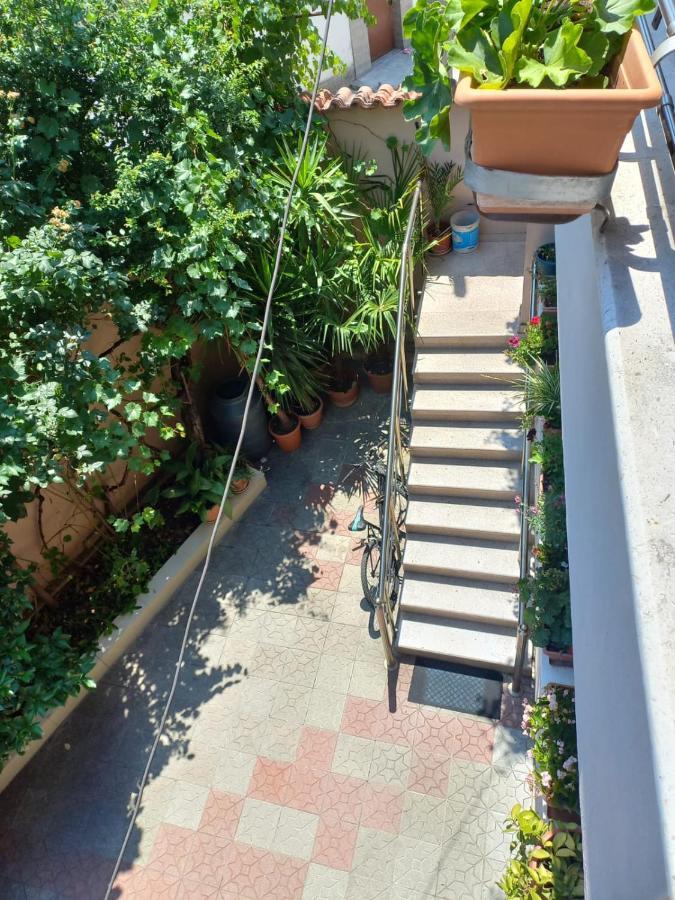 Flowers Guesthouse Tirana Zewnętrze zdjęcie