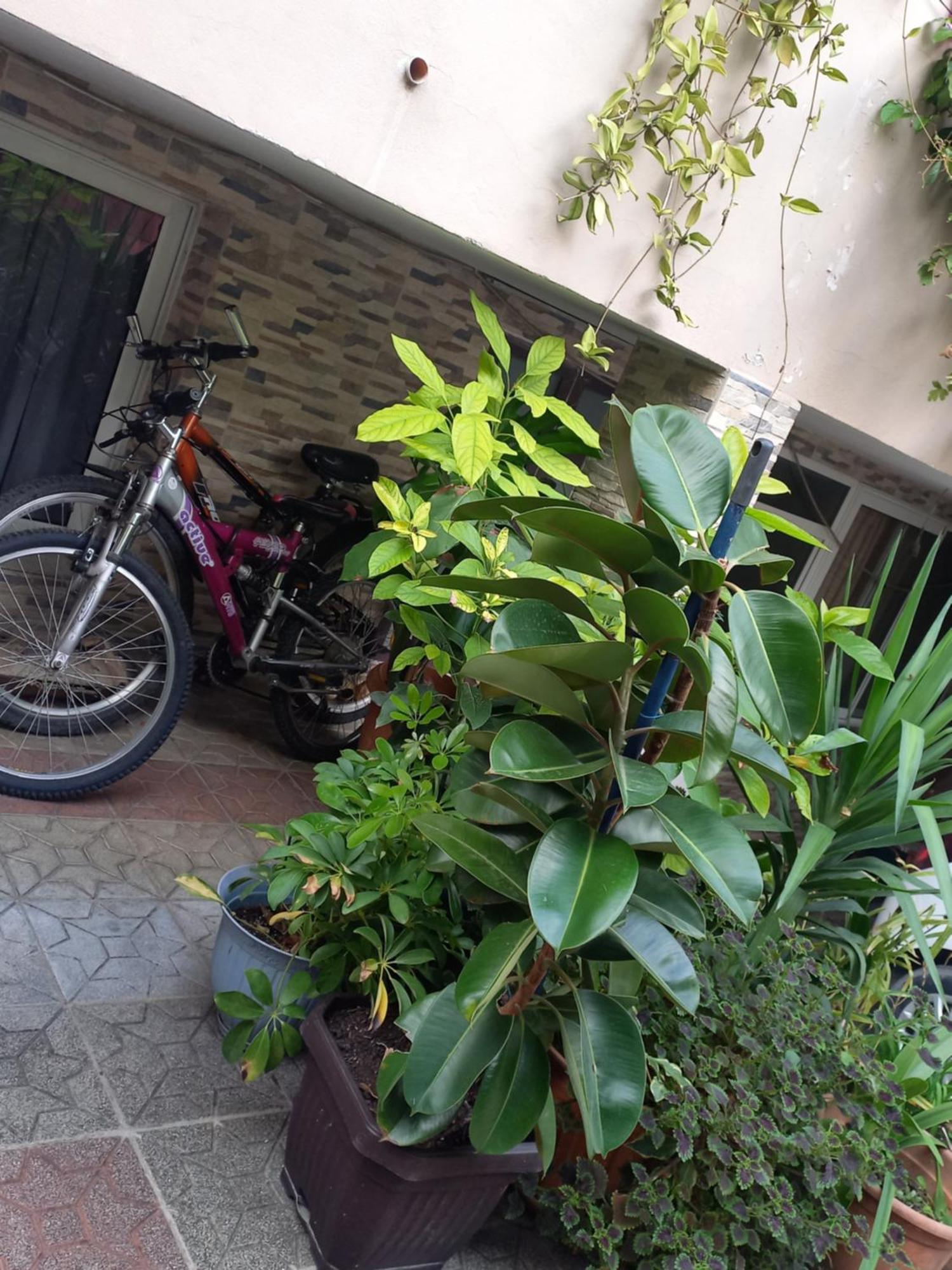 Flowers Guesthouse Tirana Zewnętrze zdjęcie